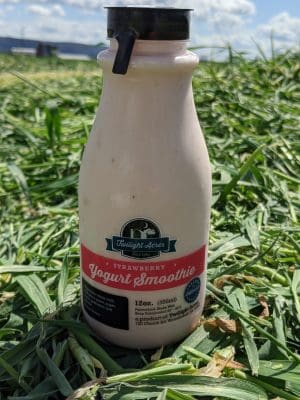 Strawberry Yogurt Smoothie
