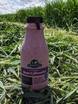 Blueberry Yogurt Smoothie
