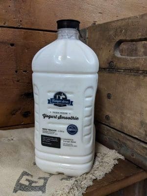 Vanilla Yogurt Smoothie (Large)